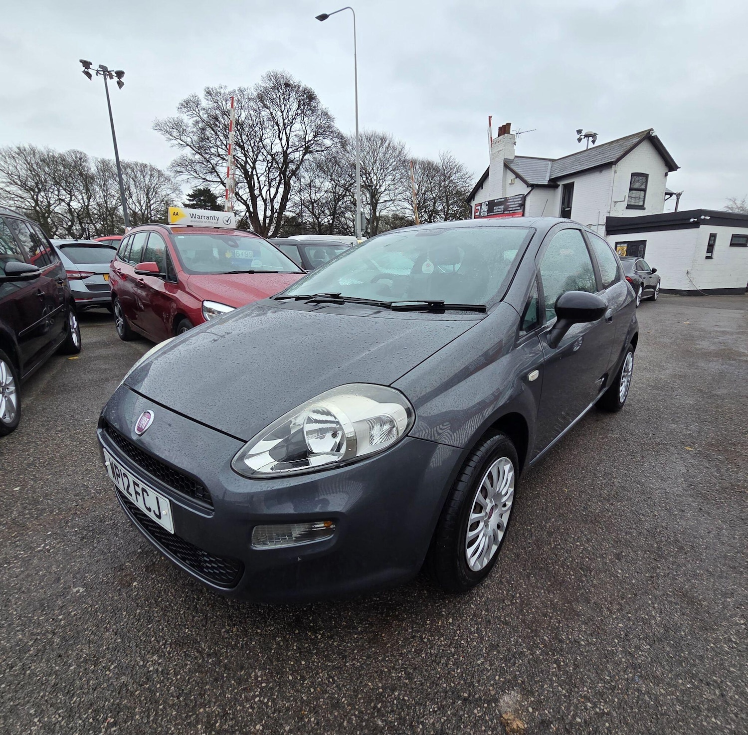 Used Fiat Punto 2012 for sale - 77892895: Photo 9
