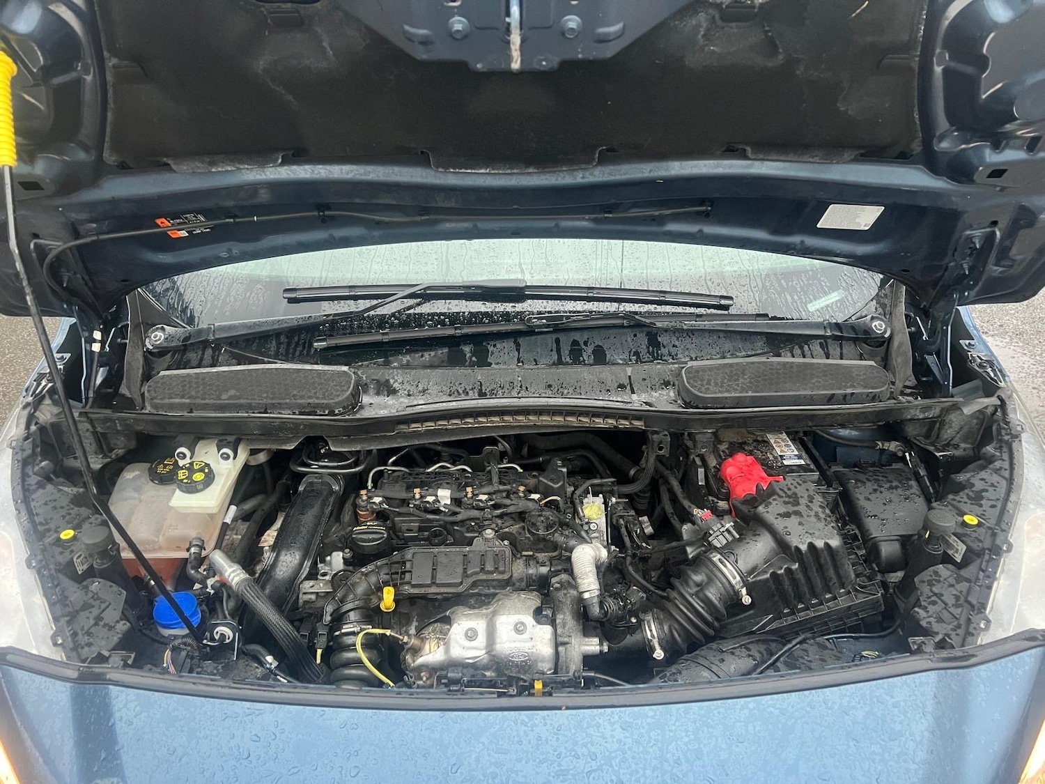 Used Ford Transit Connect 2021 for sale - 76627392: Photo 21