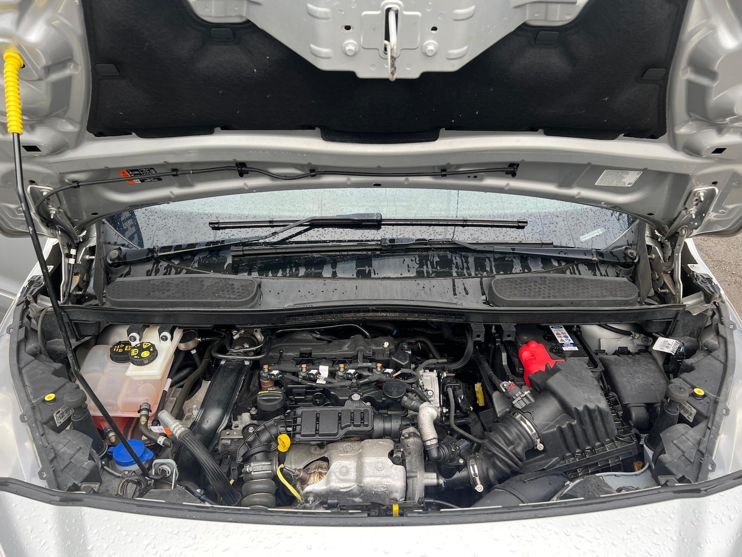 Used Ford Transit Connect 2021 for sale - 75774579: Photo 18