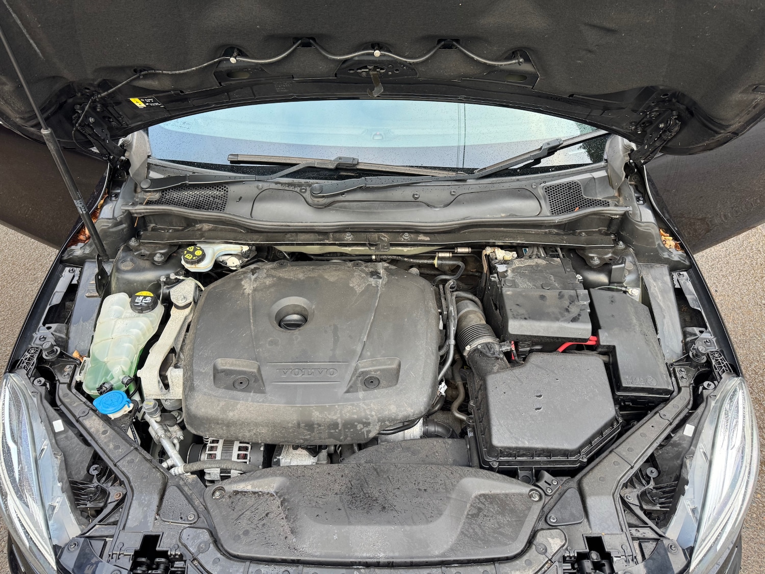 Used Volvo V40 2019 for sale - 77435895: Photo 25