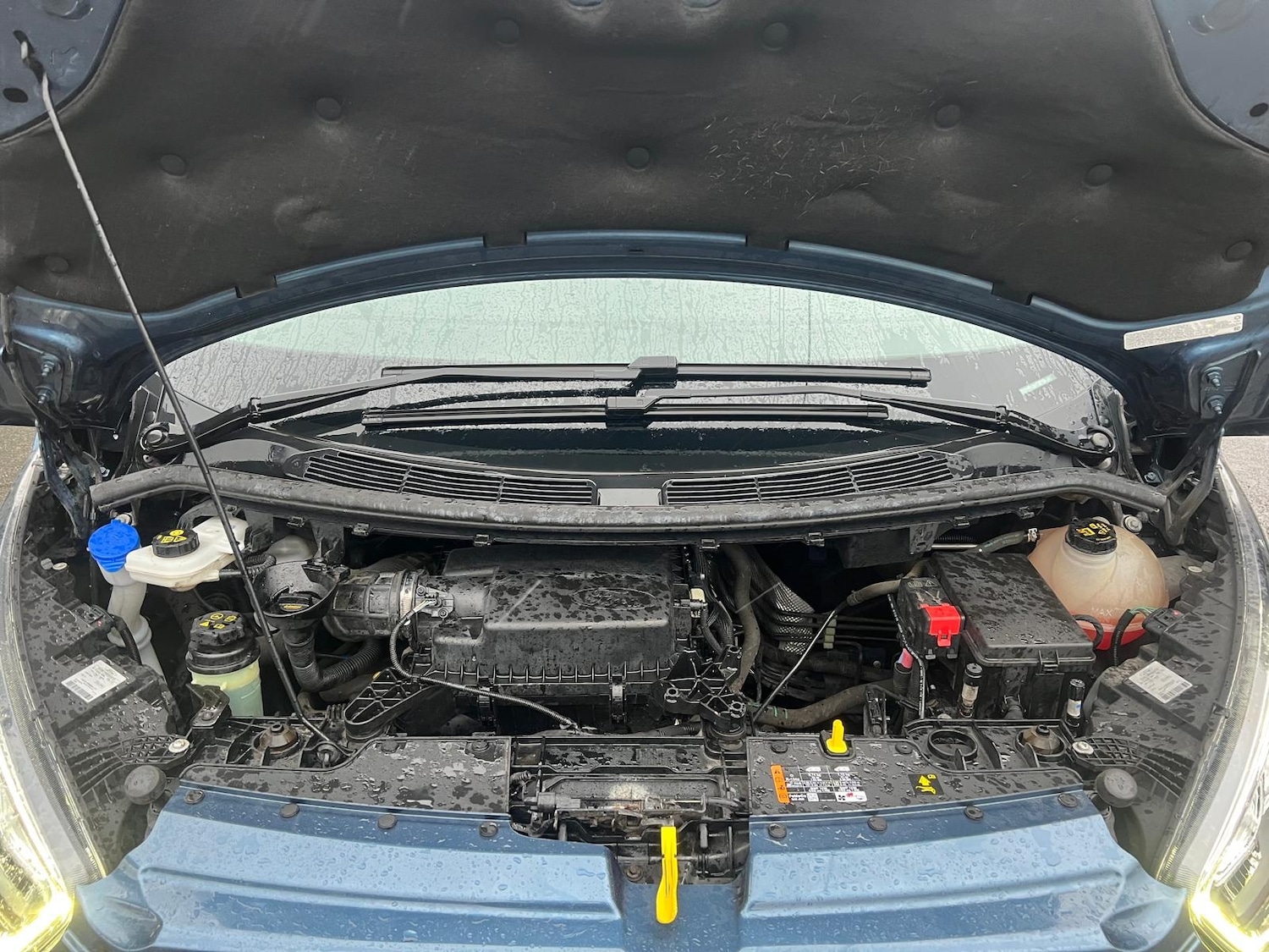 Used Ford Transit Custom 2018 for sale - 76799562: Photo 25