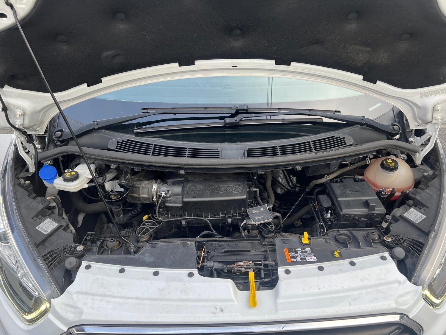 Used Ford Transit Custom 2019 for sale - 76192814: Photo 20