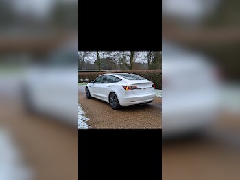 Used Tesla Model 3 2021 for sale - 77364419: Photo