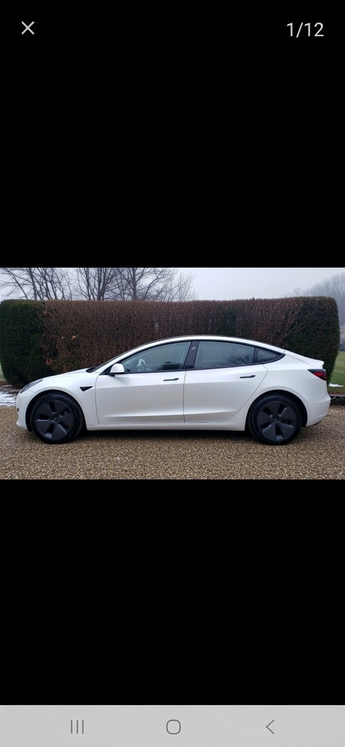 Used Tesla Model 3 2021 for sale - 77364419: Photo 5