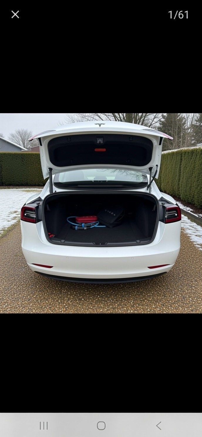 Used Tesla Model 3 2021 for sale - 77364419: Photo 6