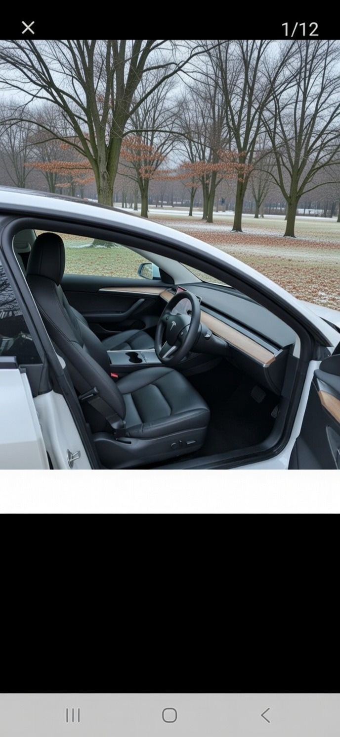 Used Tesla Model 3 2021 for sale - 77364419: Photo 7