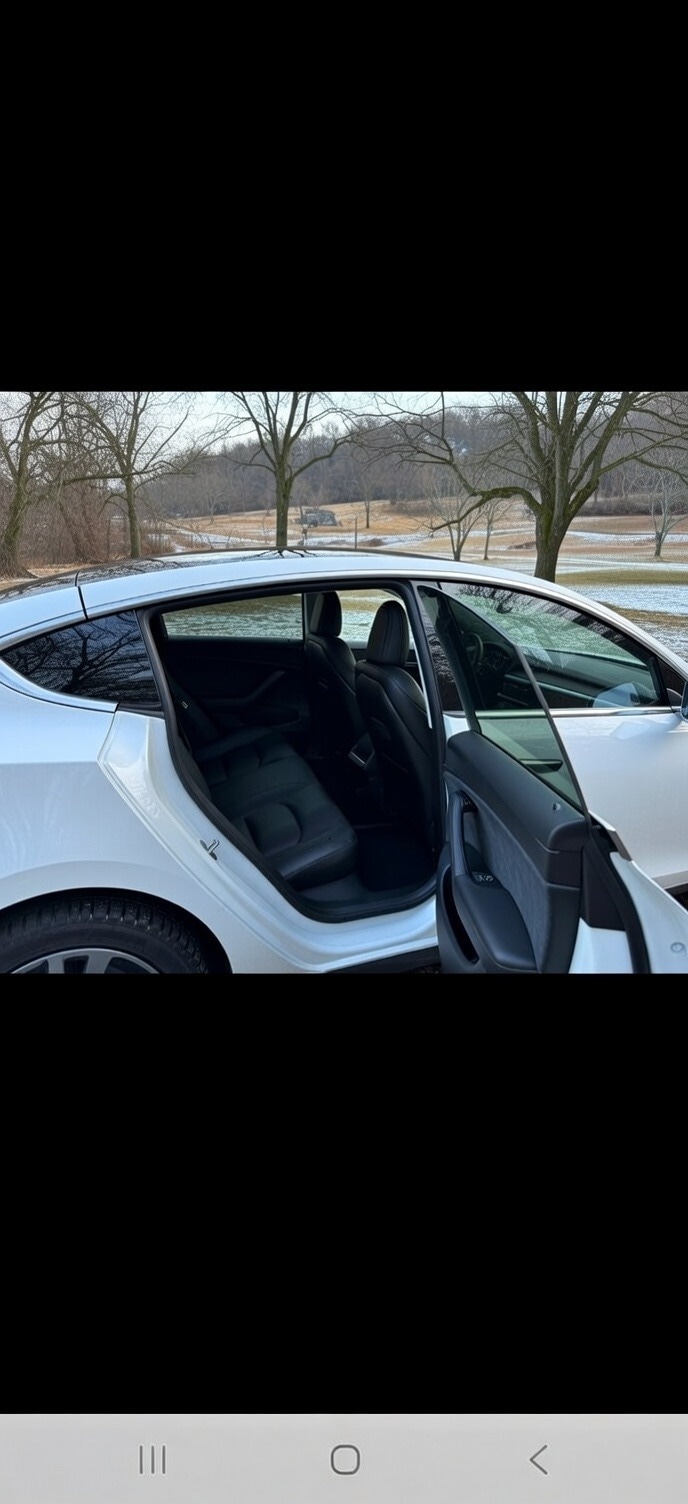 Used Tesla Model 3 2020 for sale - 77364798: Photo 4