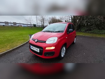 Used Fiat Panda 2014 for sale - 77365614: Photo