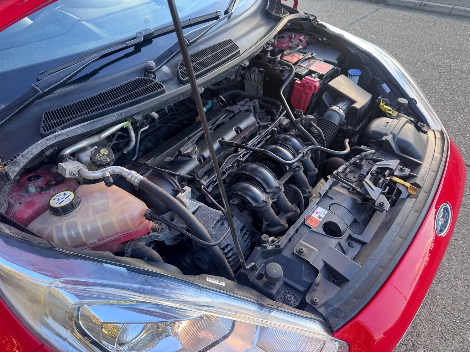 Used Ford Fiesta 2014 for sale - 78036887: Photo 36