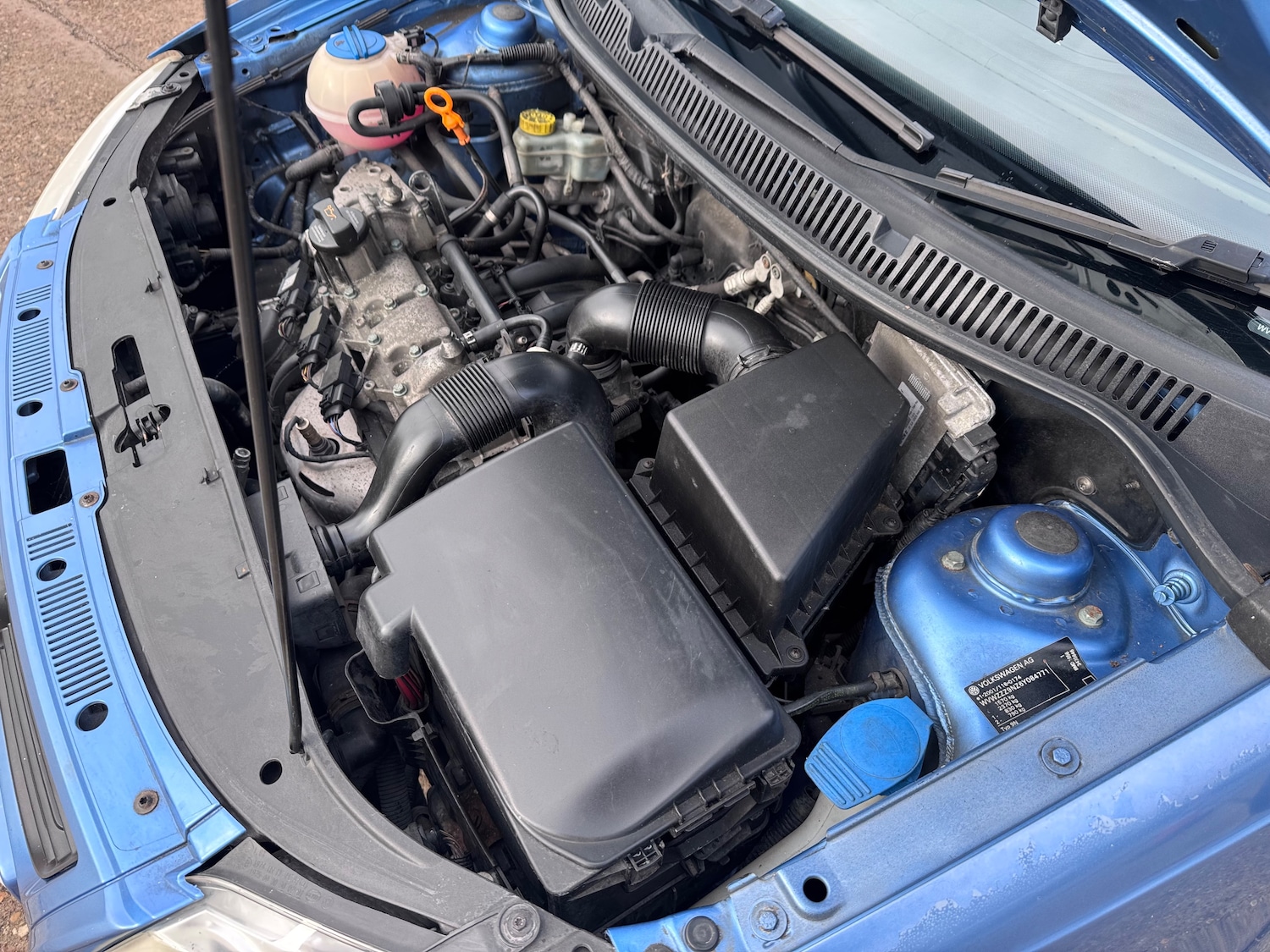 Used Volkswagen Polo 2005 for sale - 77373143: Photo 31