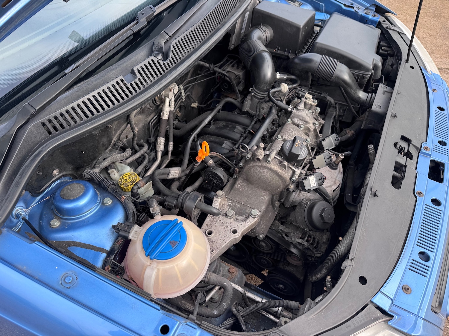 Used Volkswagen Polo 2005 for sale - 77373143: Photo 32