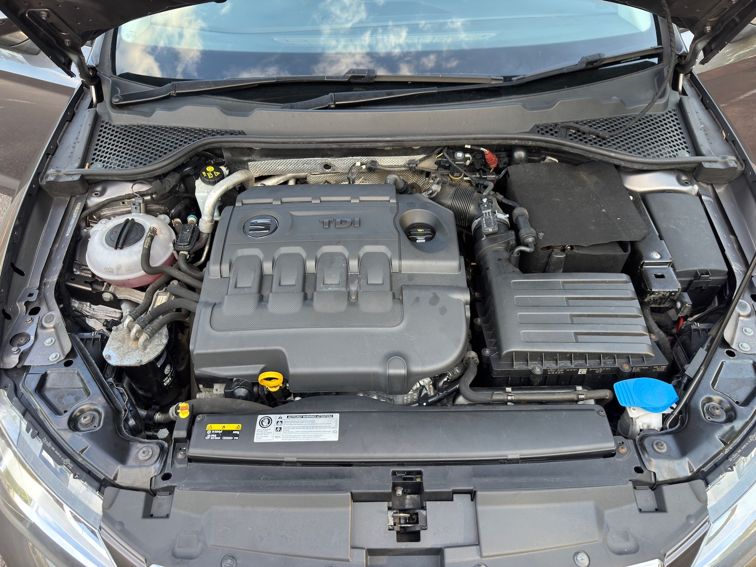 Used SEAT Leon 2017 for sale - 77006493: Photo 52