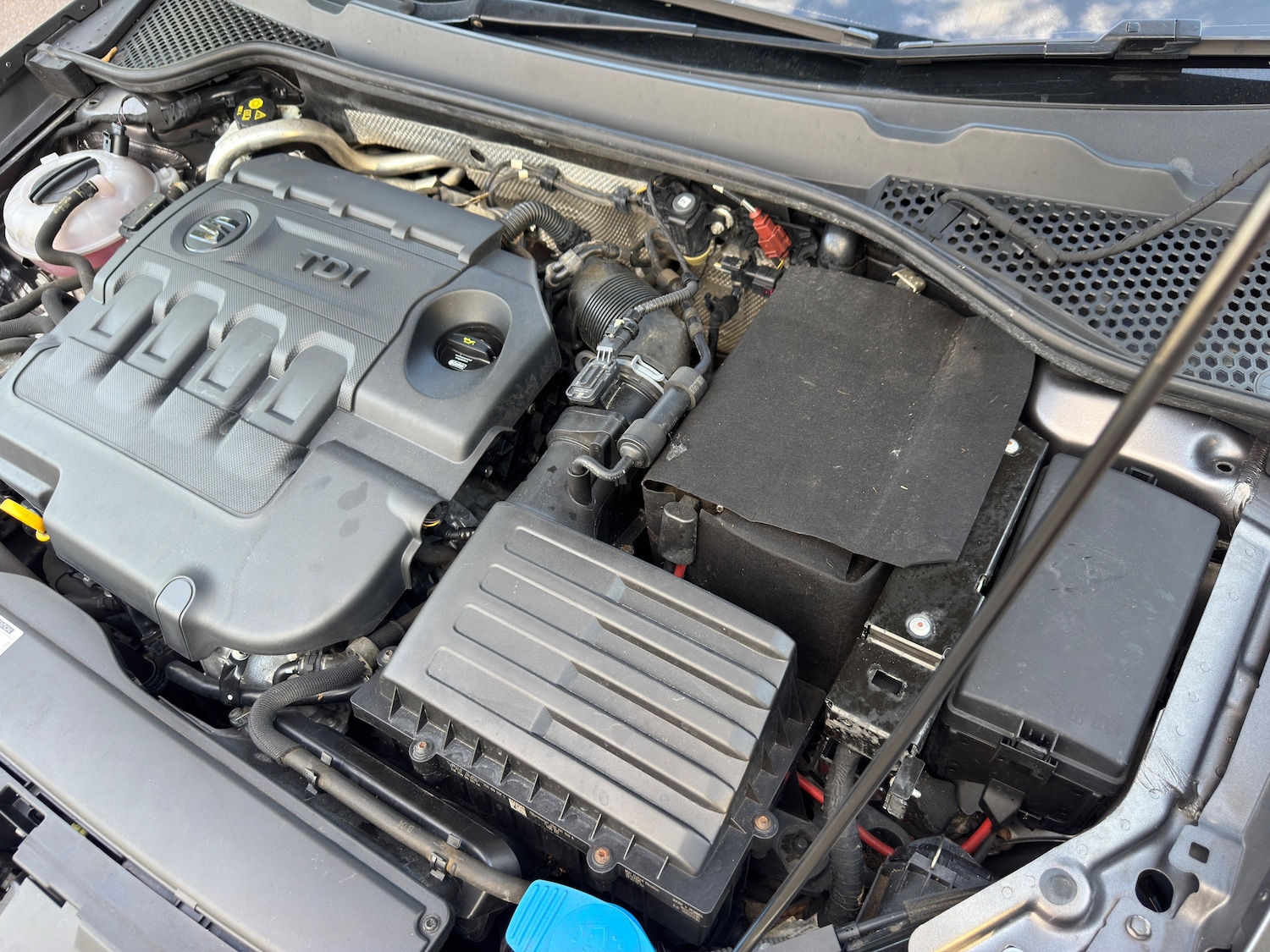 Used SEAT Leon 2017 for sale - 77006493: Photo 54