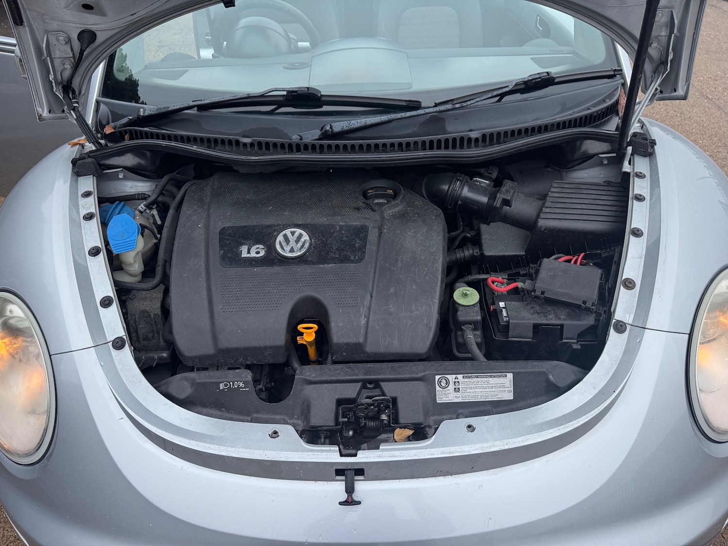 Used Volkswagen Beetle 2010 for sale - 77006506: Photo 37