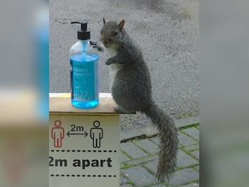 Vauxhall Meriva feature image