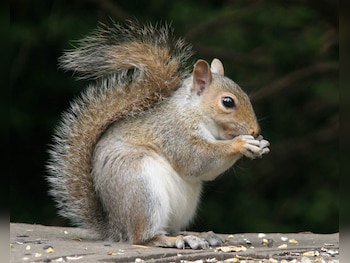 Hyundai i10 feature image