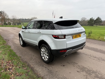 Used Land Rover Range Rover Evoque 2019 for sale - 76941728: Photo