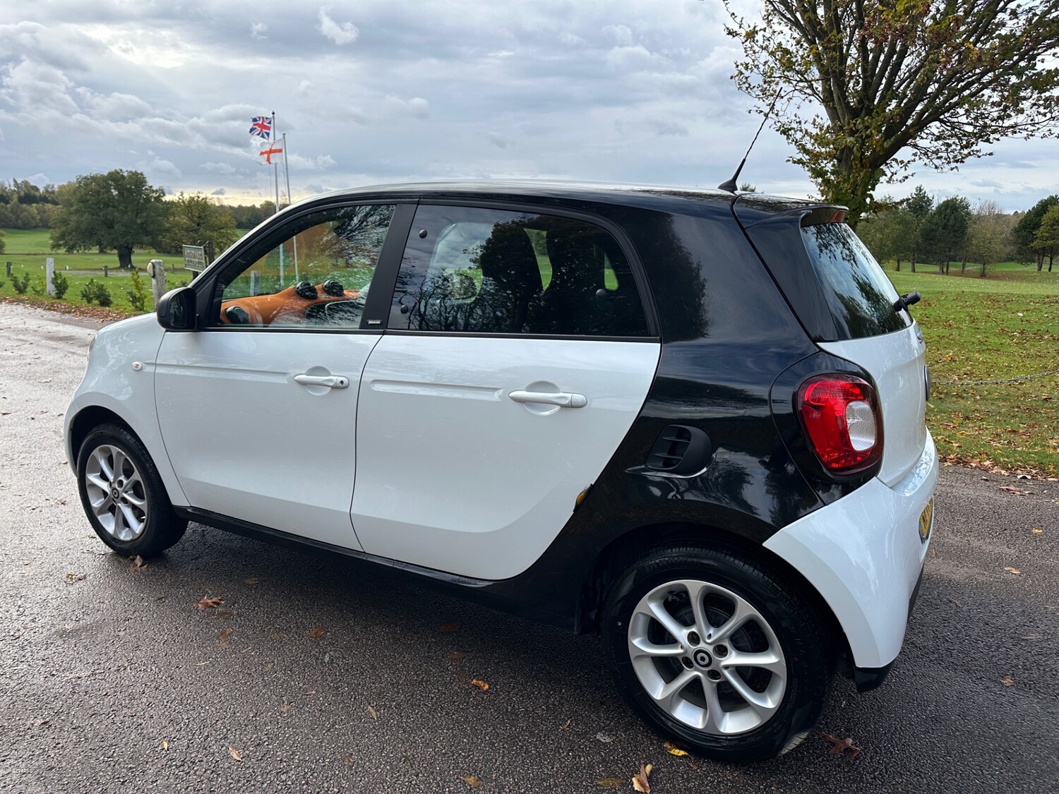 Used smart forfour 2017 for sale - 76244618: Photo 10