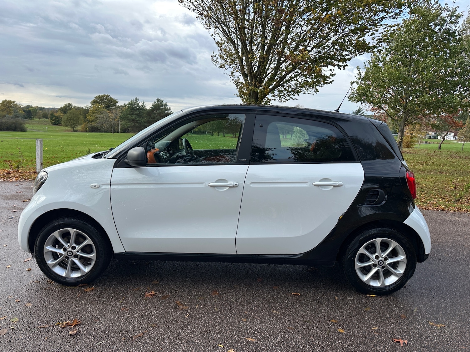 Used smart forfour 2017 for sale - 76244618: Photo 11
