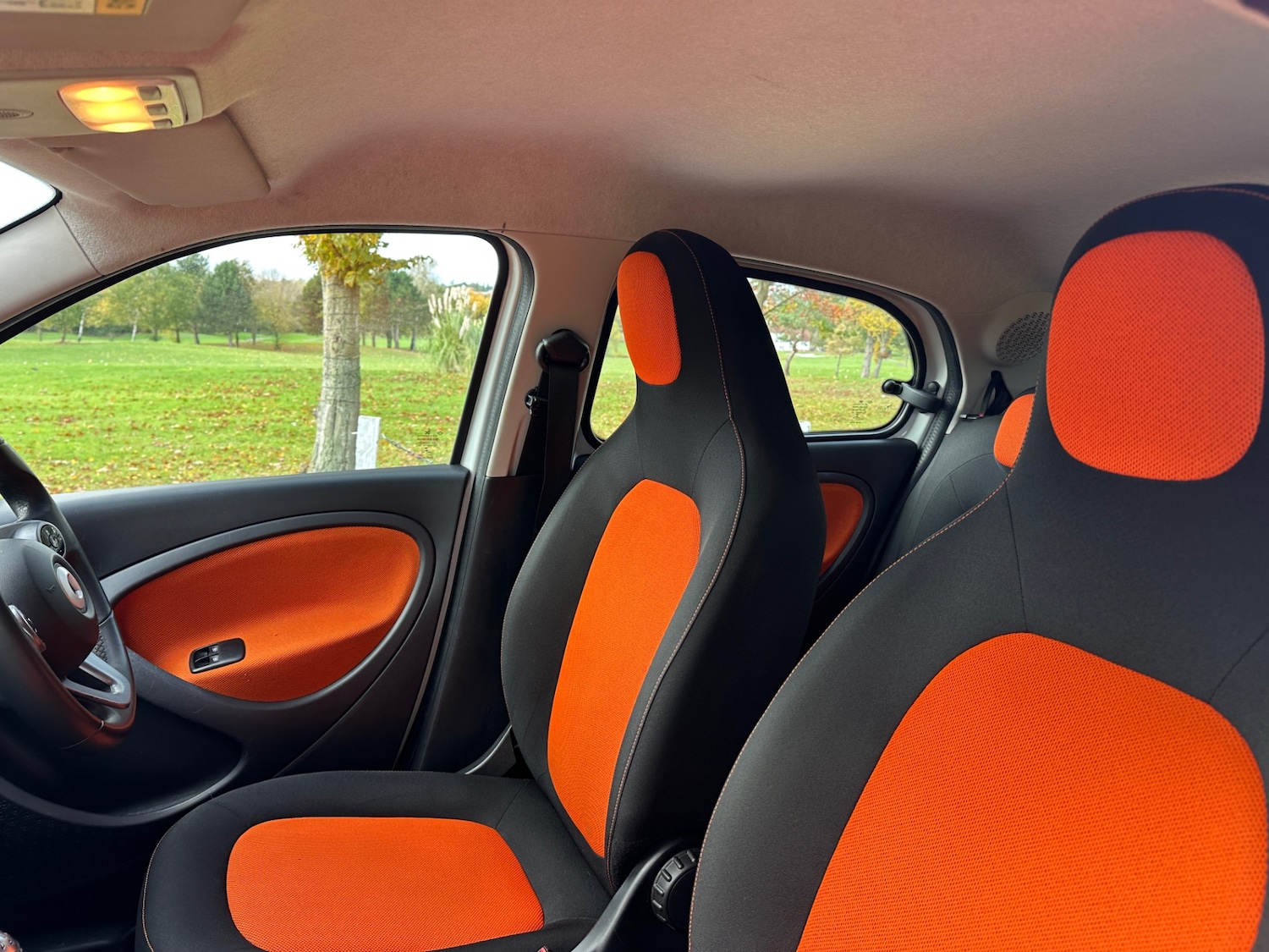 Used smart forfour 2017 for sale - 76244618: Photo 5