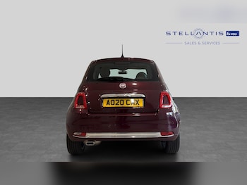 Used Fiat 500 2020 for sale - 79050432: Photo