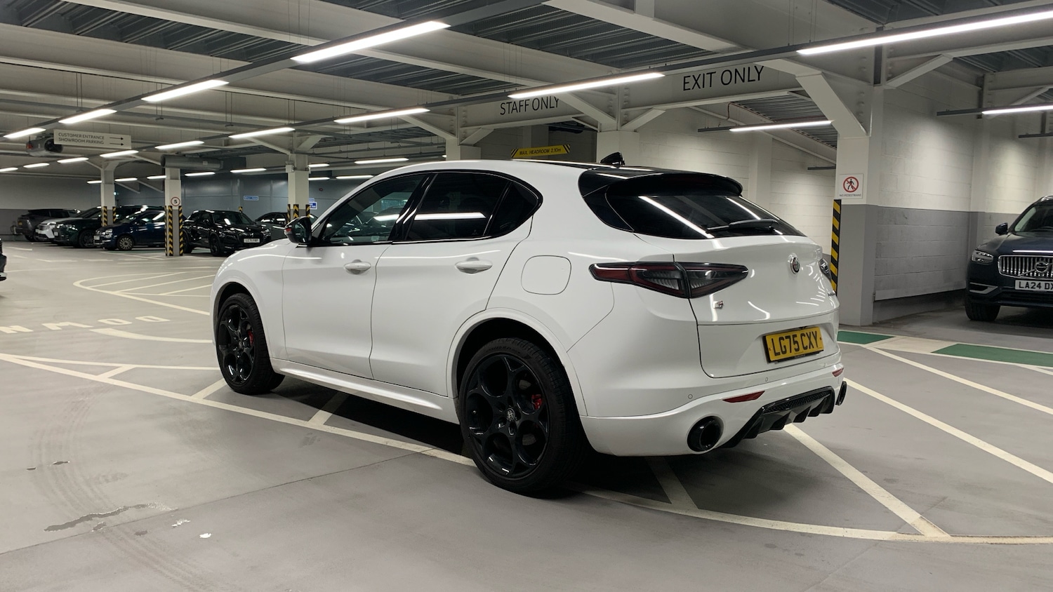 Used Alfa Romeo Stelvio 2025 for sale - 77176162: Photo 6