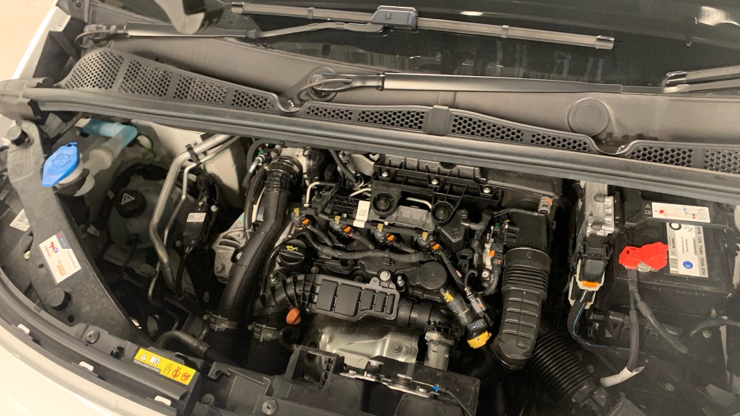 Used Citroen Berlingo 2023 for sale - 77244469: Photo 19