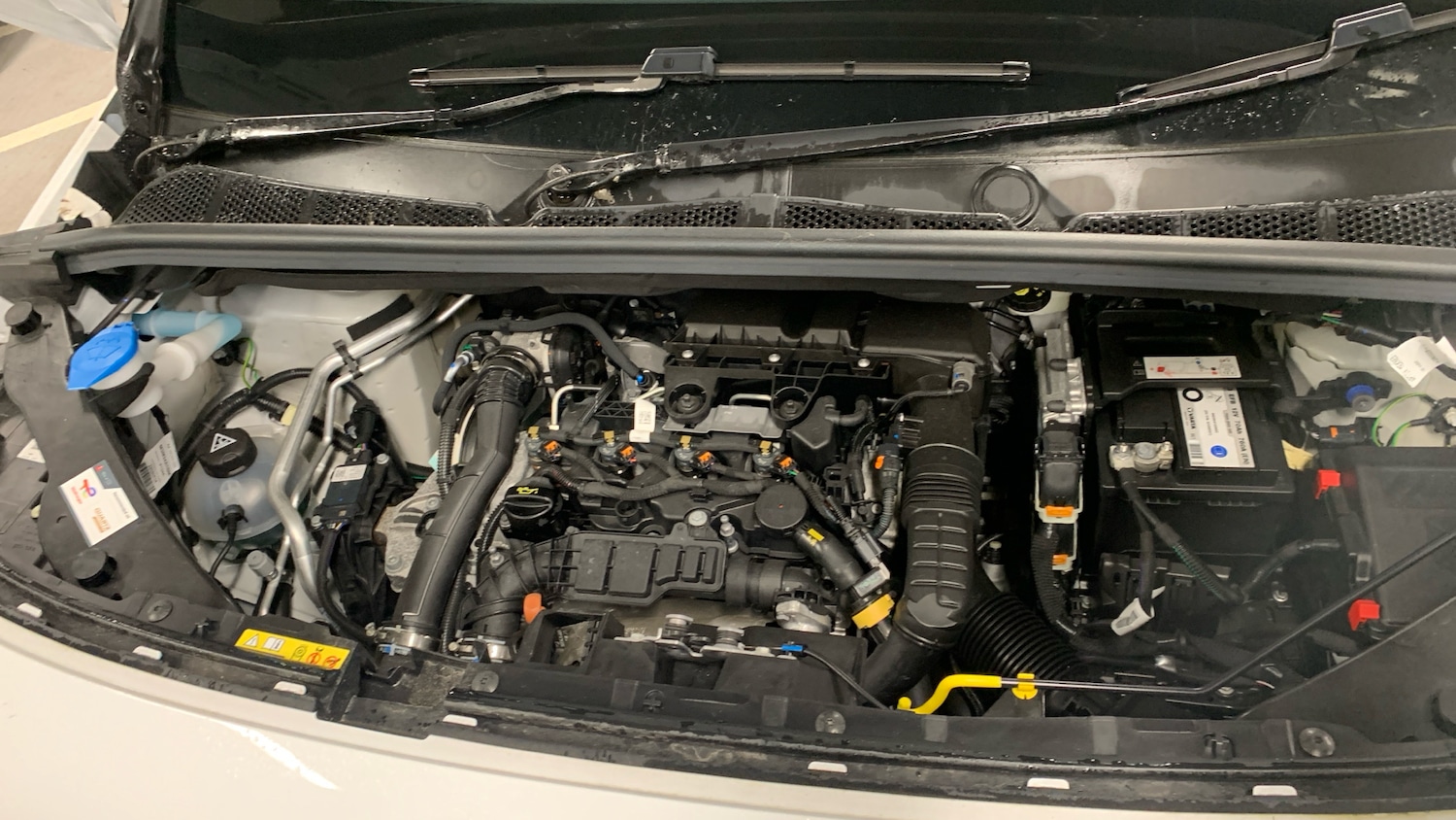 Used Citroen Berlingo 2023 for sale - 77204907: Photo 19