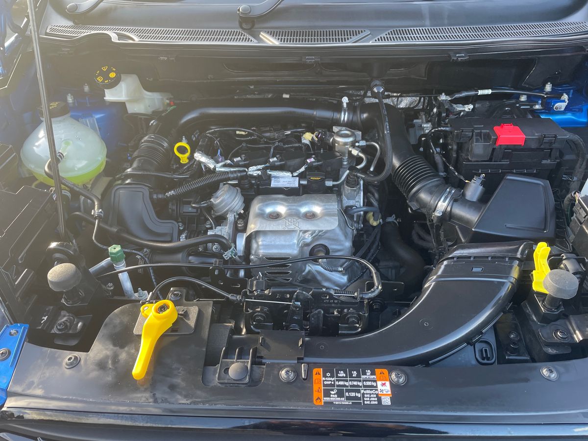 Used Ford Ecosport 2023 for sale - 77889996: Photo 33