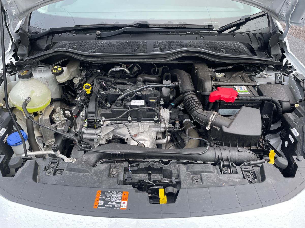 Used Ford Fiesta 2023 for sale - 77047639: Photo 33