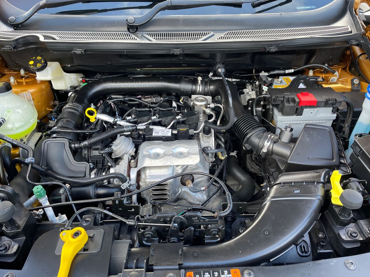 Used Ford Ecosport 2022 for sale - 76361967: Photo 33