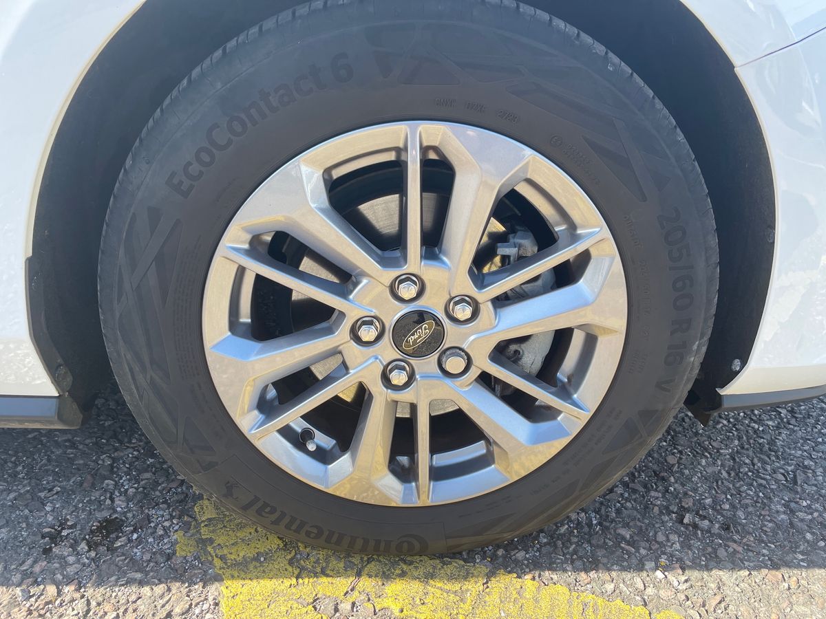 Used Ford Focus 2023 for sale - 78152493: Photo 14