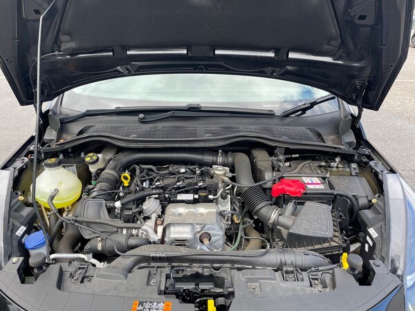Used Ford Fiesta 2023 for sale - 75541128: Photo 33
