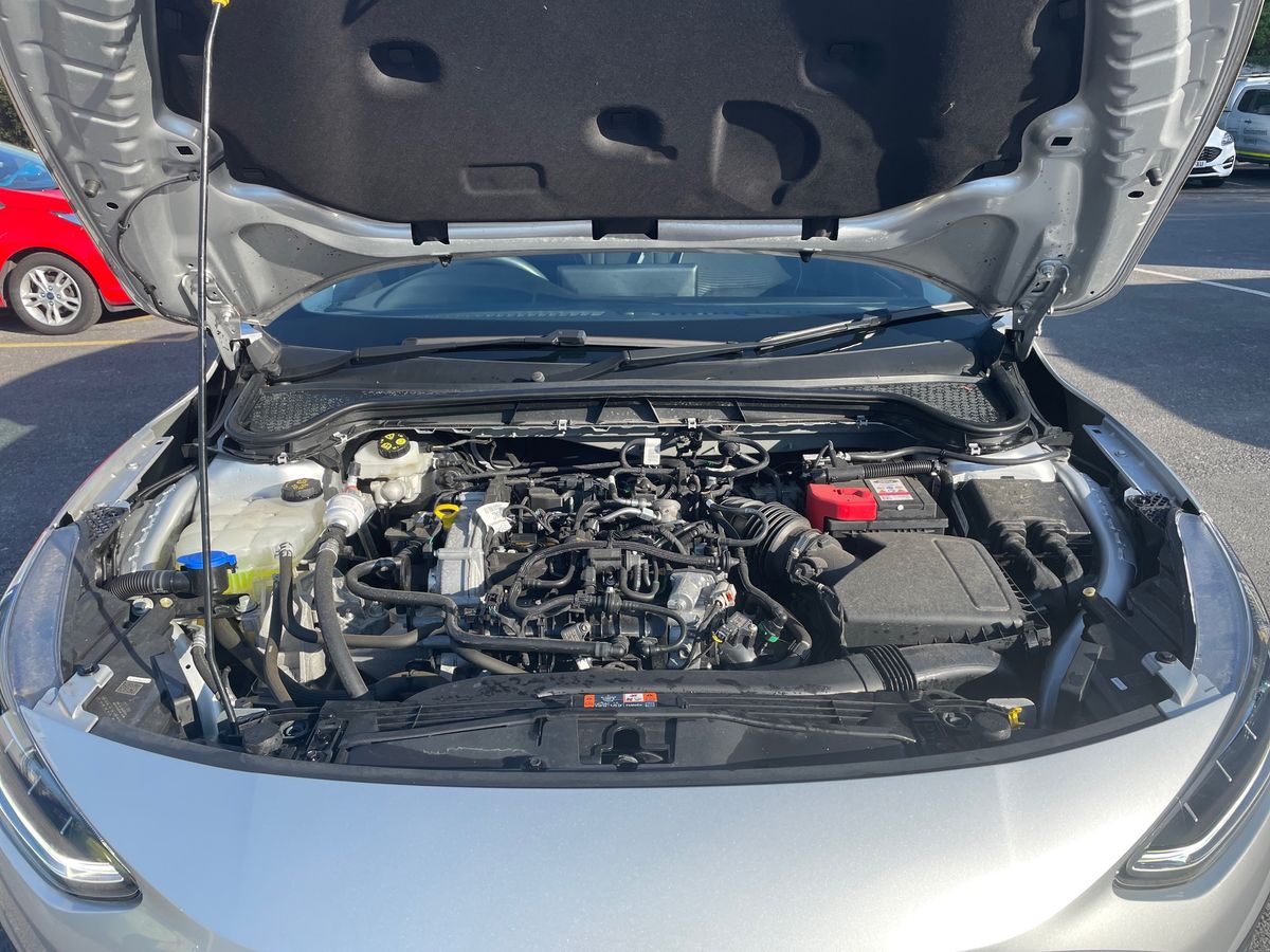 Used Ford Focus 2023 for sale - 77979023: Photo 33