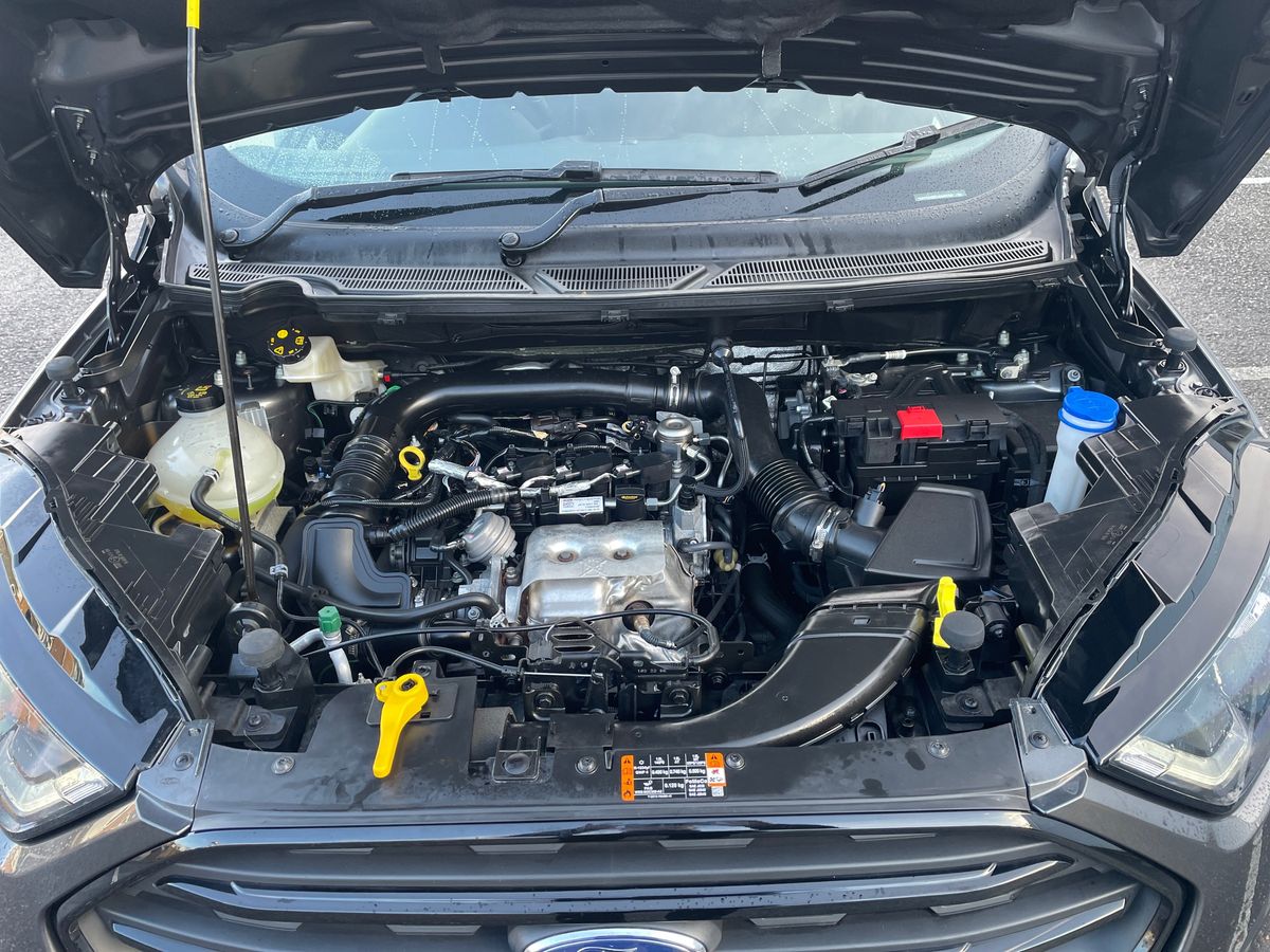 Used Ford Ecosport 2022 for sale - 77157968: Photo 33