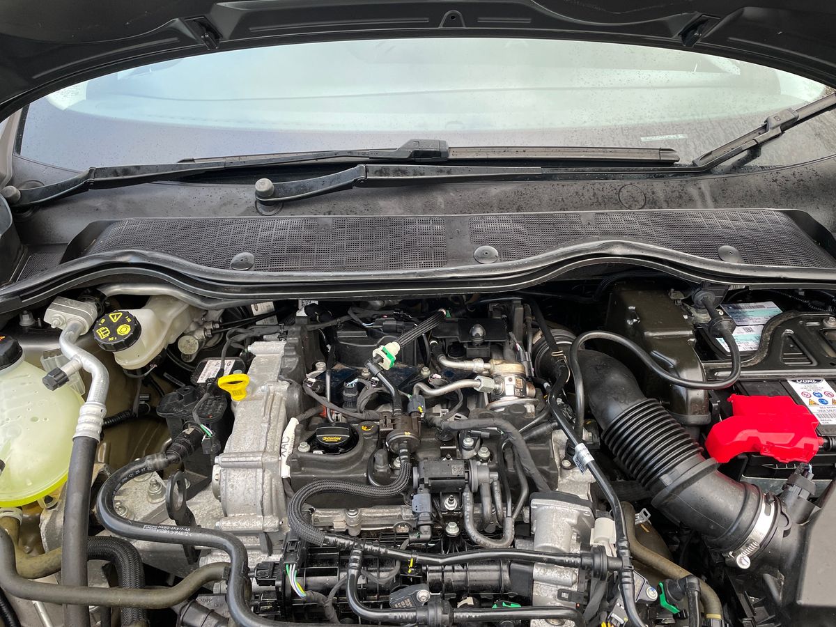 Used Ford Fiesta 2023 for sale - 76851166: Photo 33