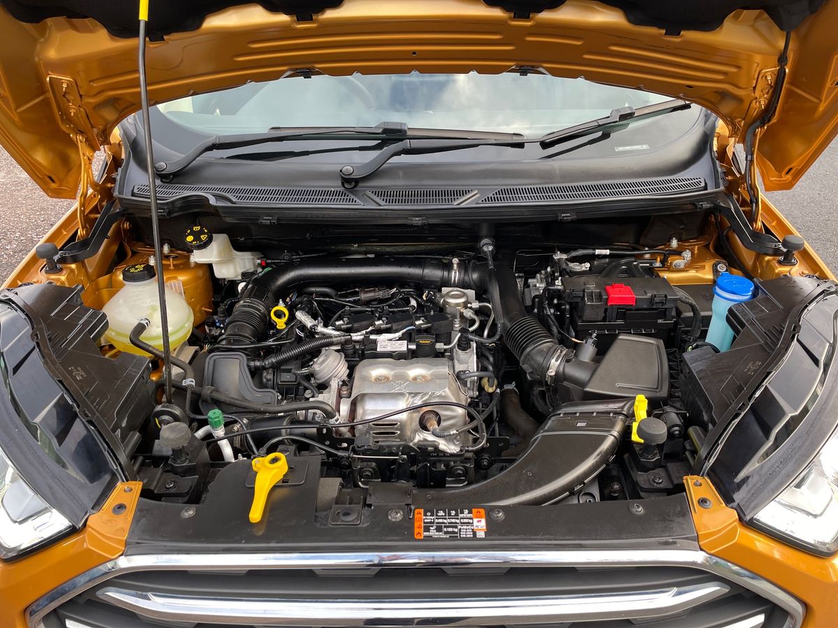 Used Ford Ecosport 2022 for sale - 76501483: Photo 33