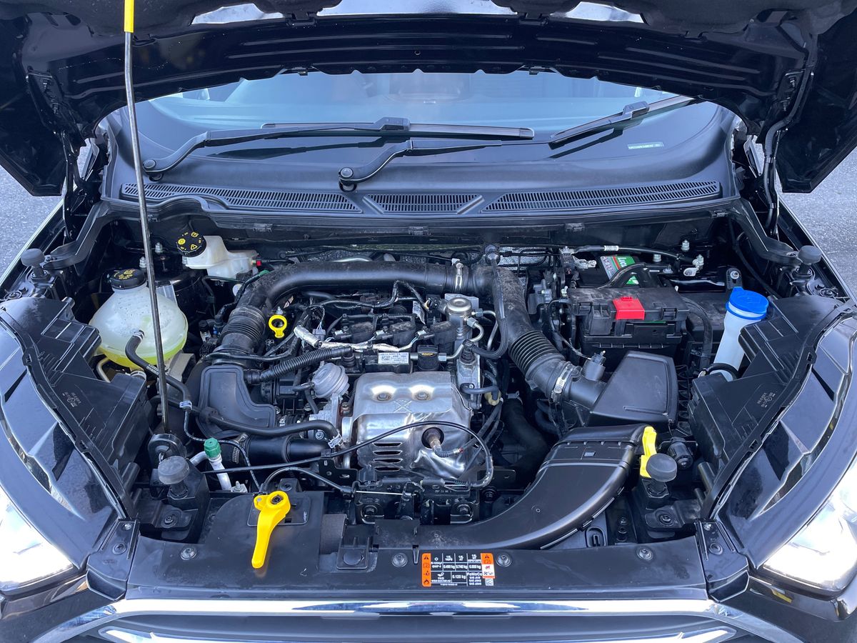 Used Ford Ecosport 2023 for sale - 76661019: Photo 33