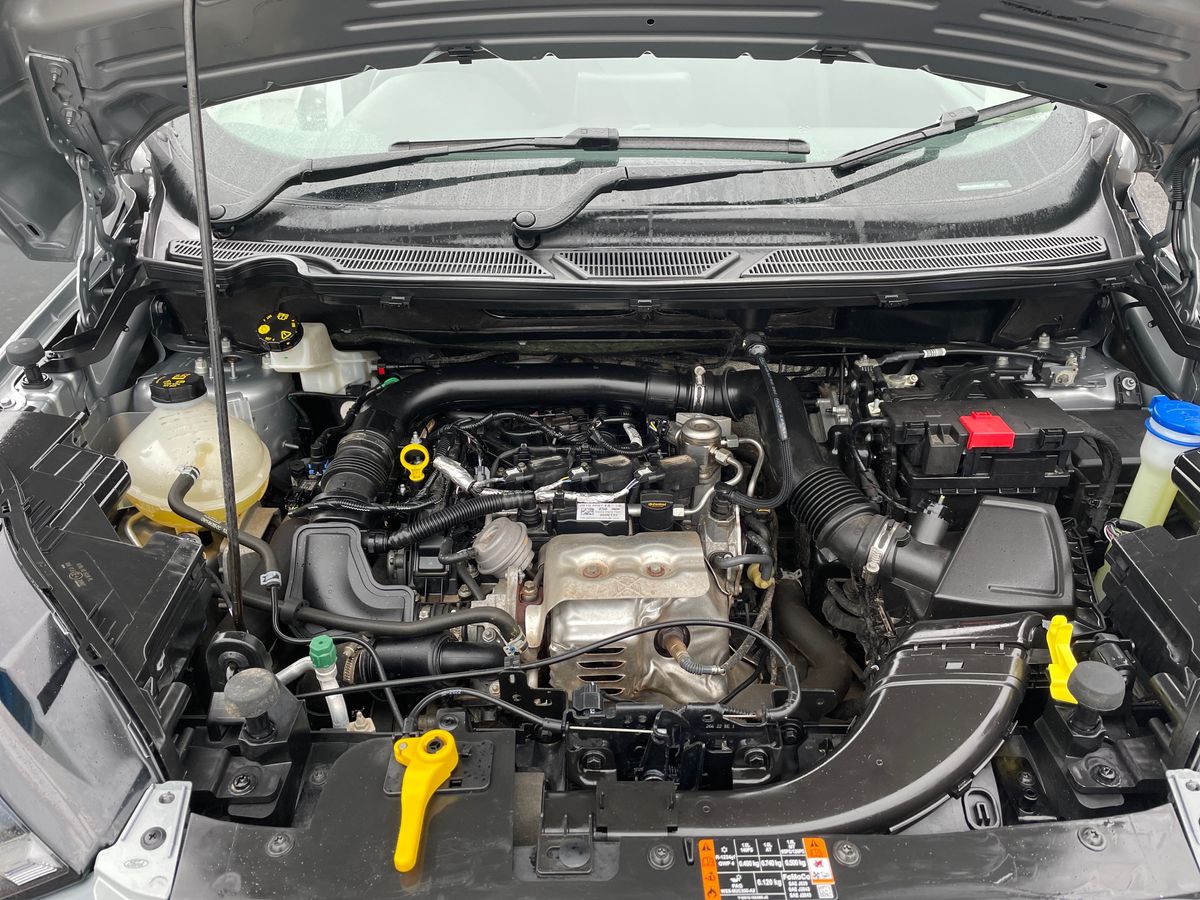 Used Ford Ecosport 2023 for sale - 78009011: Photo 33