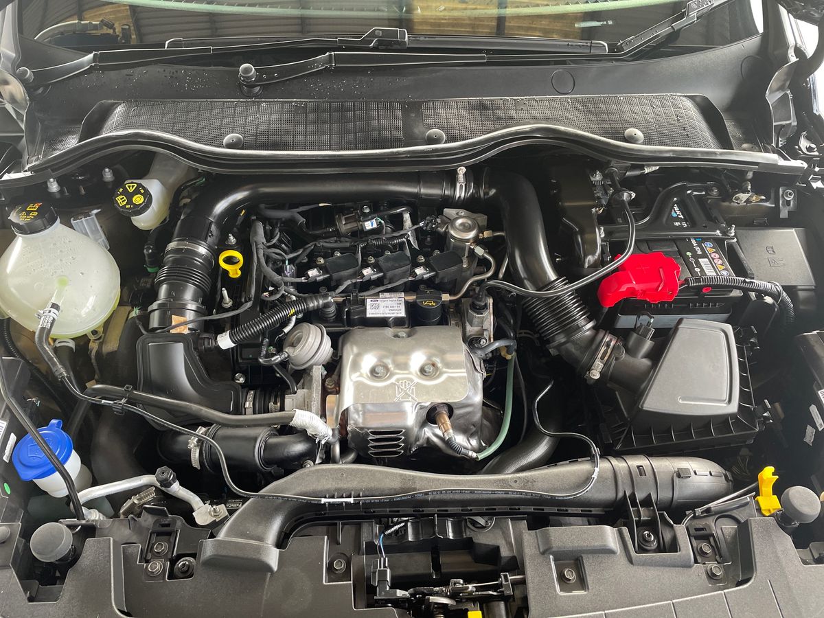 Used Ford Fiesta 2022 for sale - 77618996: Photo 33