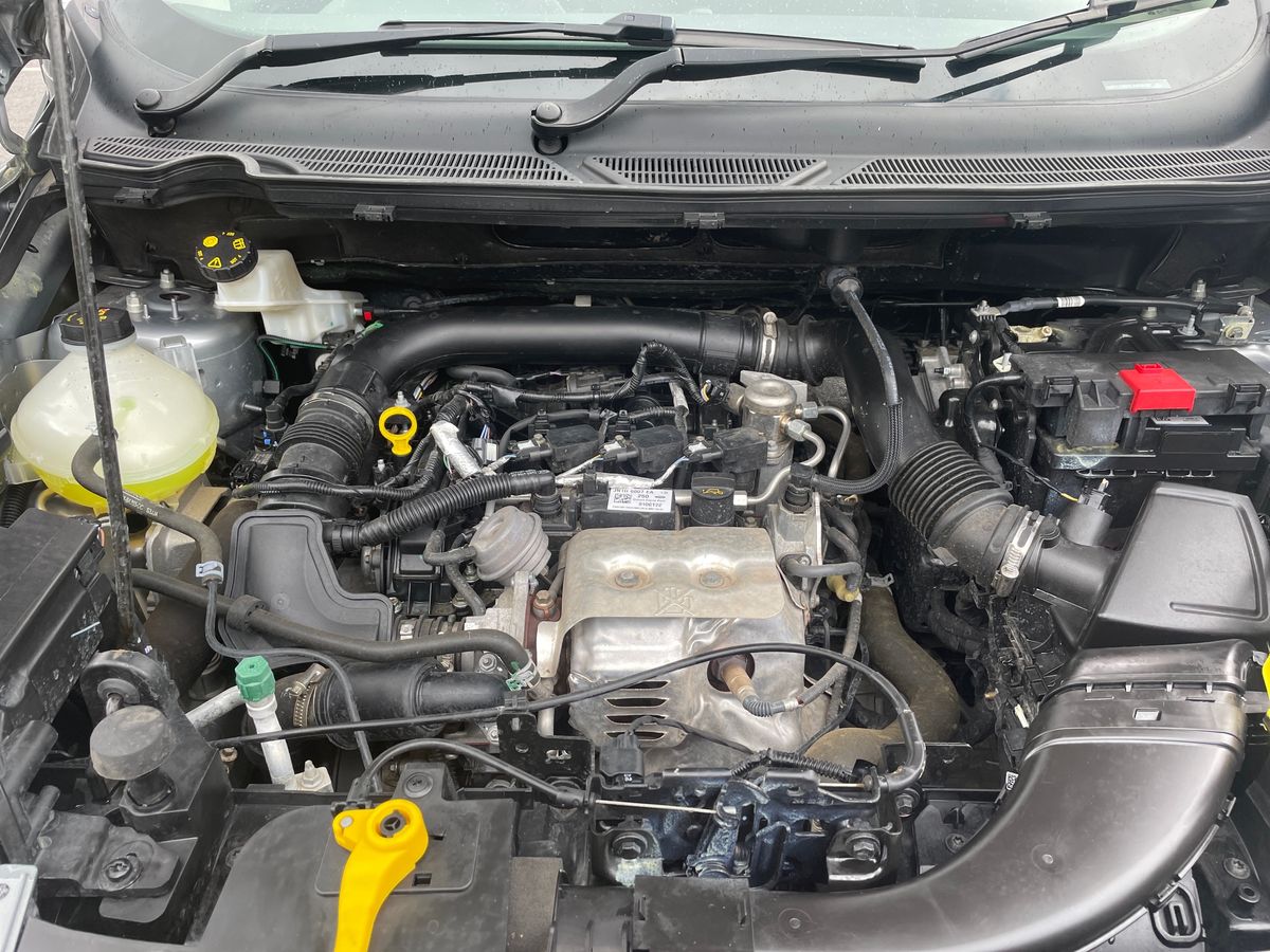 Used Ford Ecosport 2023 for sale - 77640677: Photo 33