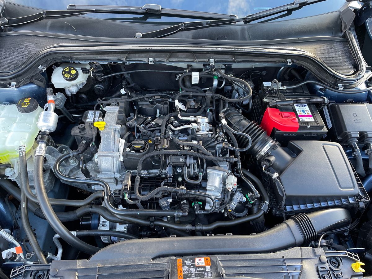 Used Ford Focus 2023 for sale - 77810190: Photo 33