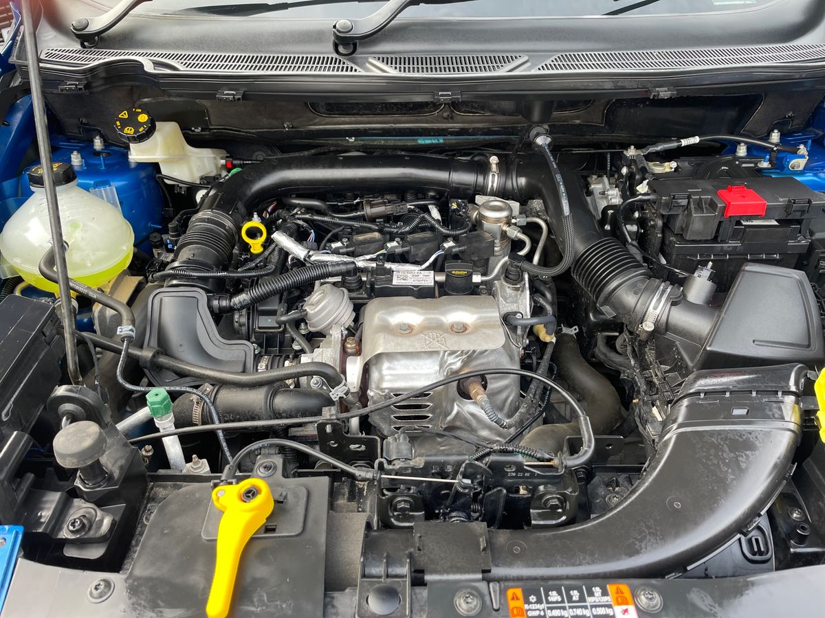 Used Ford Ecosport 2023 for sale - 77791152: Photo 33