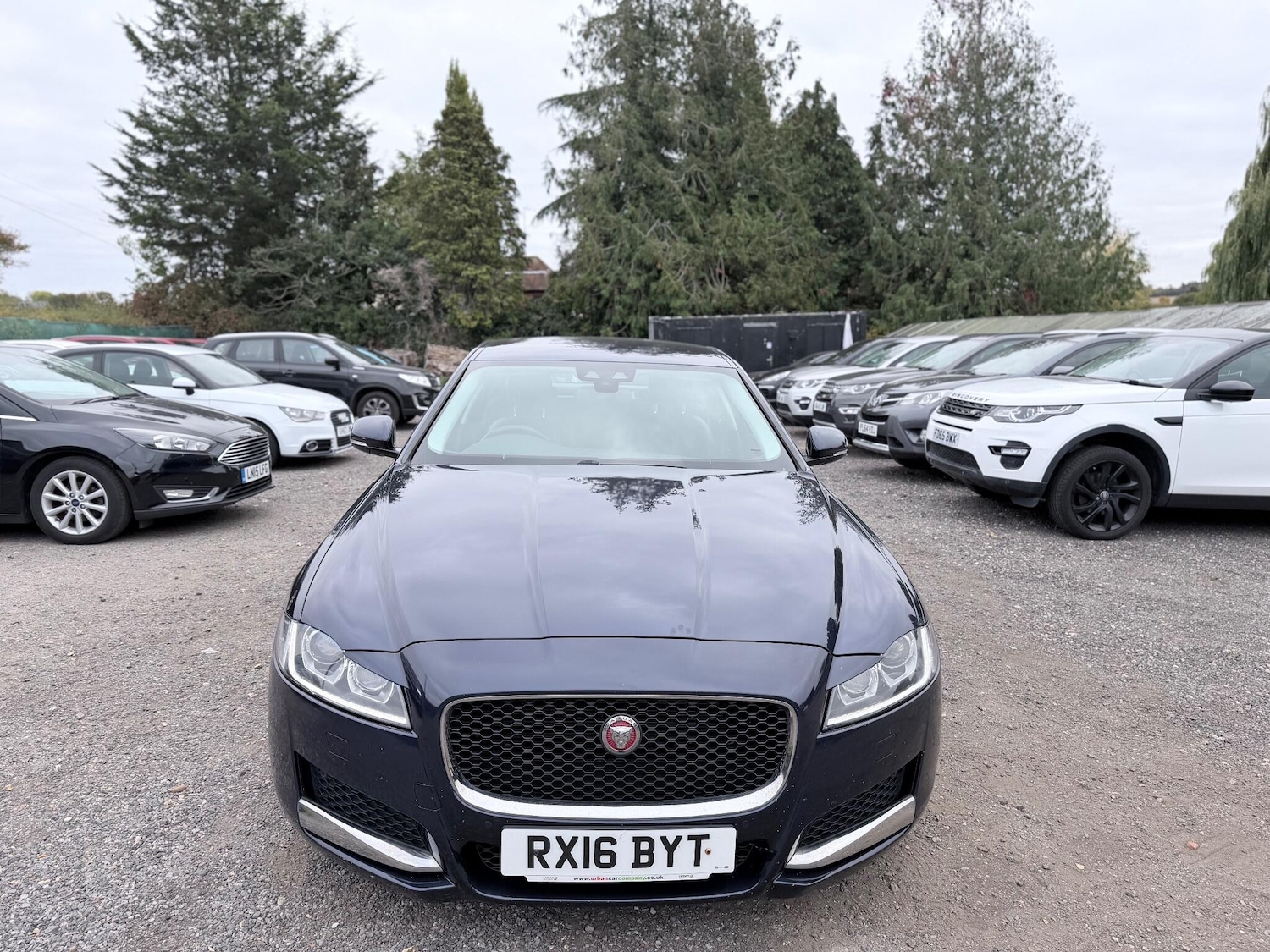 Used Jaguar XF 2016 for sale - 76314371: Photo 16