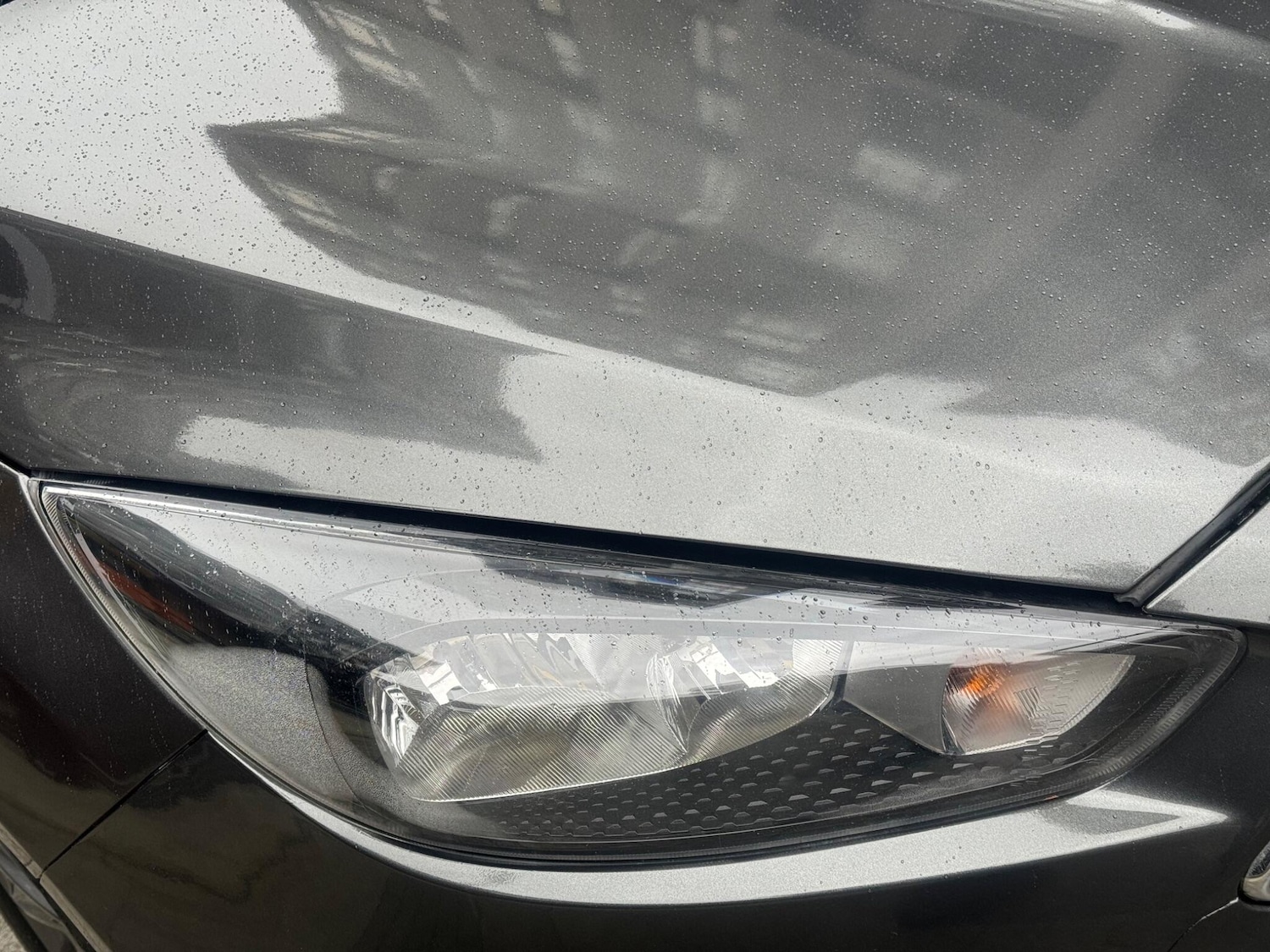 Used Ford Focus 2016 for sale - 77559384: Photo 36