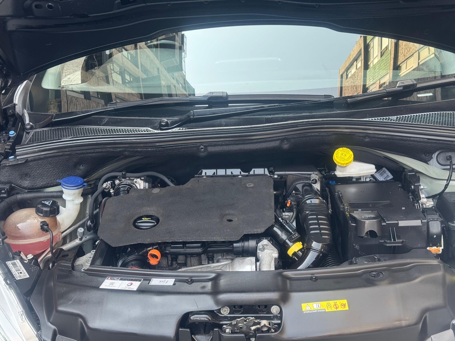 Used Peugeot 208 2019 for sale - 77893133: Photo 25