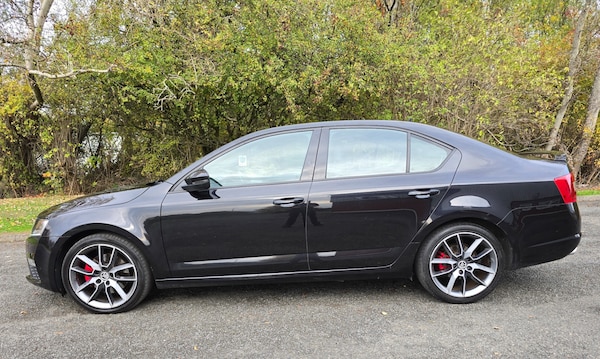 Used Skoda Octavia 2016 for sale - 76305351: Photo 5