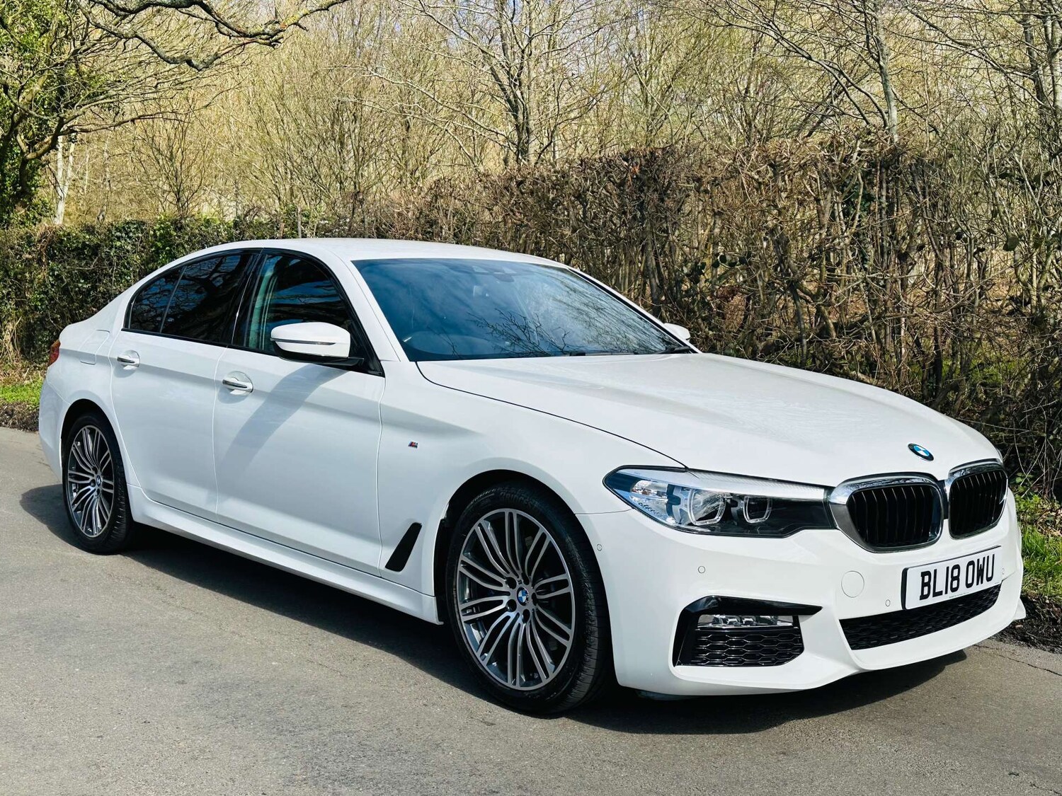 Used BMW 5 Series 2018 for sale - 78171863: Photo 46