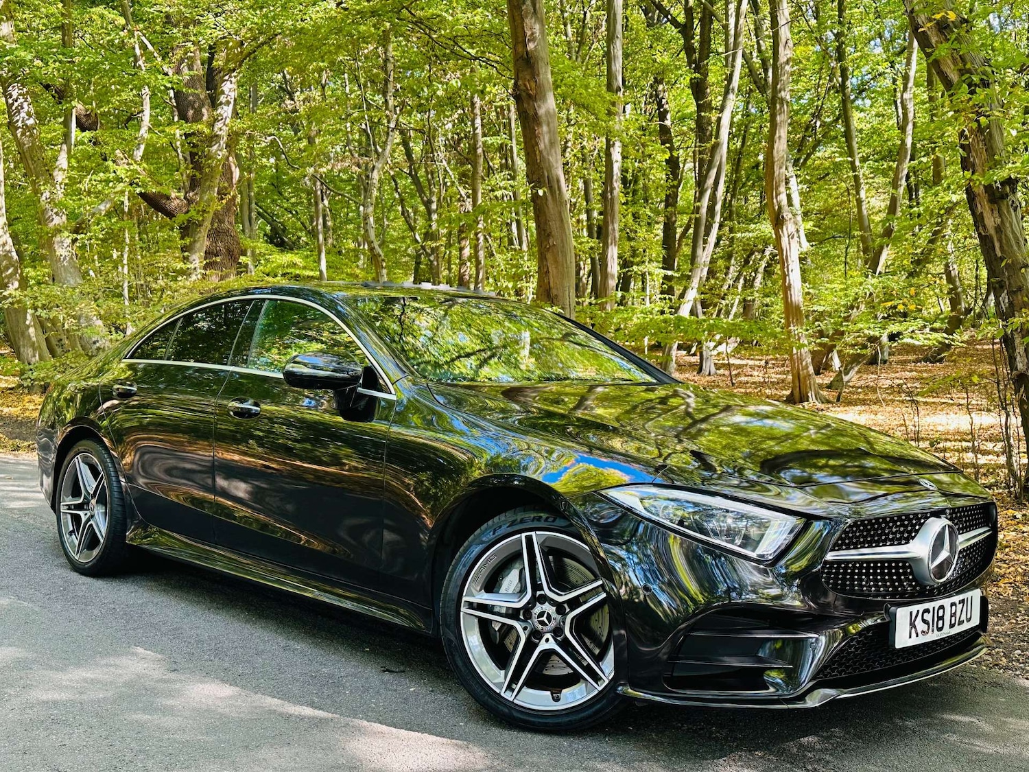 Used Mercedes-Benz CLS 2018 for sale - 76602023: Photo 59