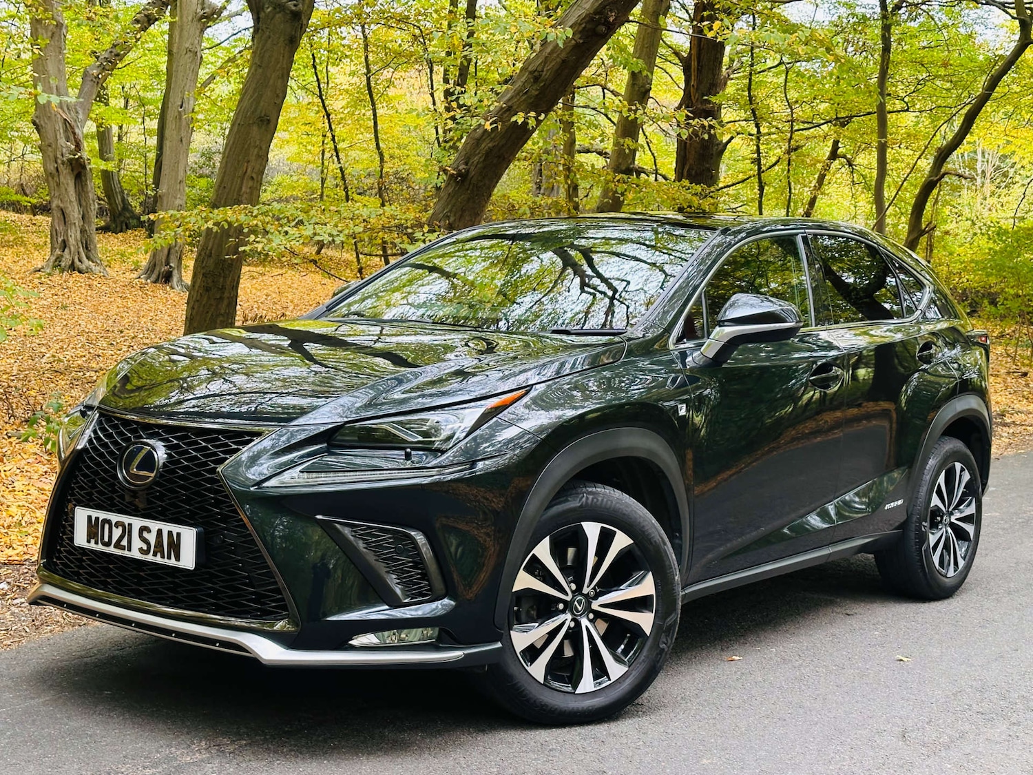 Used Lexus NX 2021 for sale - 76281745: Photo 1